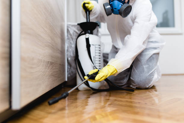 Best Rat Extermination Near Me  in Chandler, TX