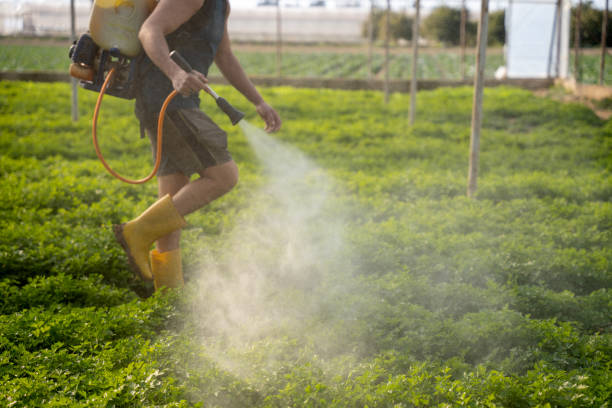 Best Best Pest Control Companies  in Chandler, TX