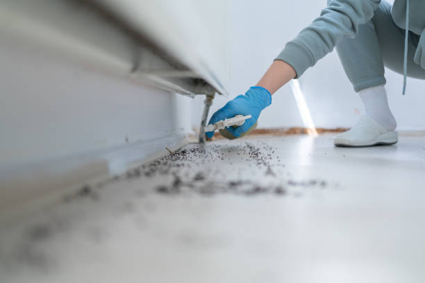 Best Rodent Control Near Me  in Chandler, TX